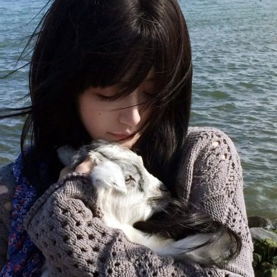 七鹰大厦宝藏
