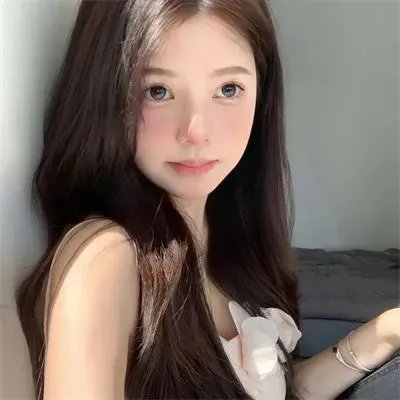 寻狗记