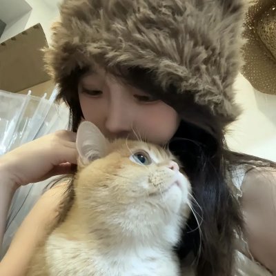 不了情