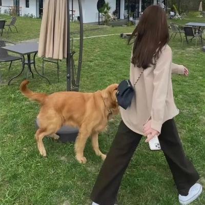 致我们渴望的人生第一季